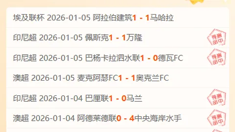 “30日激战录+14场主场辉煌，揭秘猛龙值低背后的秘密风暴！”